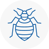 Bed Bug Extermination In Rustington