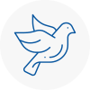 Bird Prevention Rustington