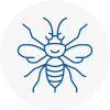 Rustington Hornet Nest Removals