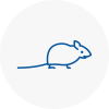 Mice Exterminators In Rustington