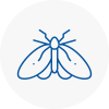 Moth Control Specialists In Rustington