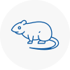 Rat Control Rustington