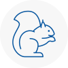 Rustington Rodent Removals